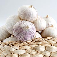 Озимый чеснок — Советская Чувашия